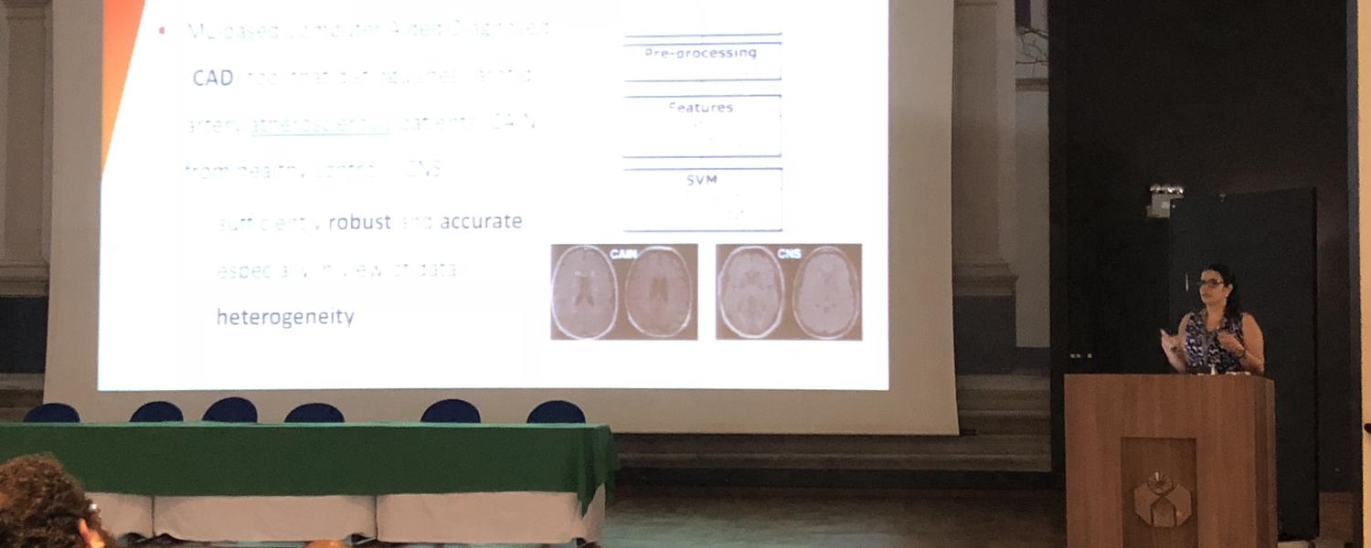 Vascular Imaging Lab fellow Mariana Bento Presenting at BRAINN, 2018.