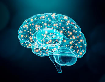 Image of brain activity
